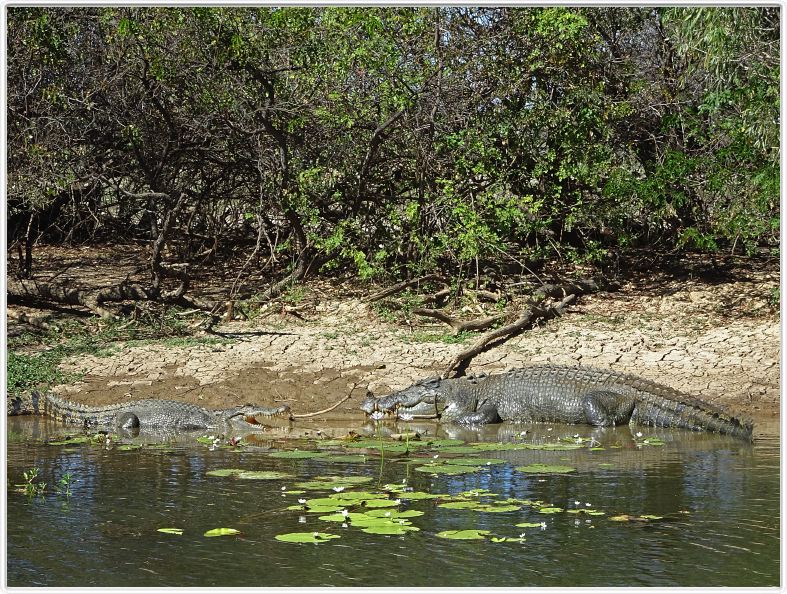 Parc National de Kakadu