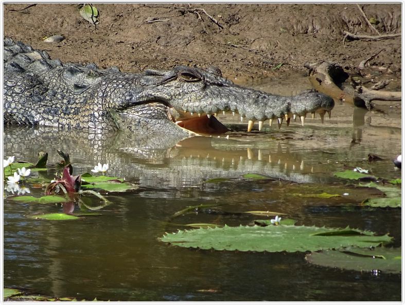 Parc National de Kakadu