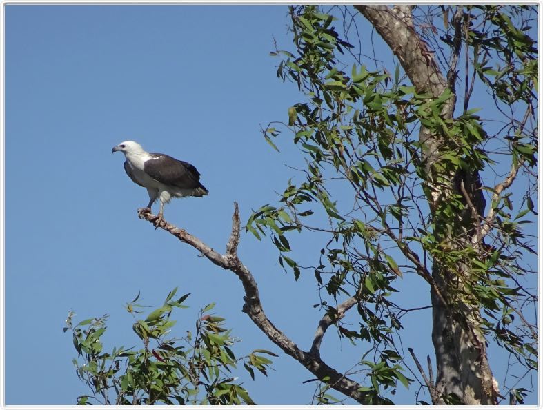 Parc National de Kakadu