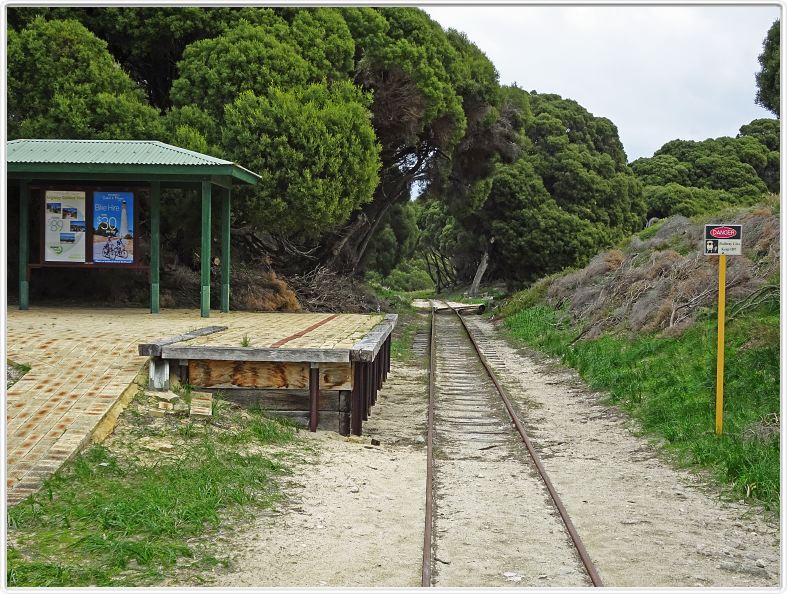 Sur l'Ile de Rottnest (Ce nom signifie Nid des rats).