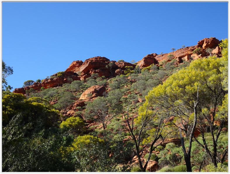 Watarrka National Park (Kings Canyon ).