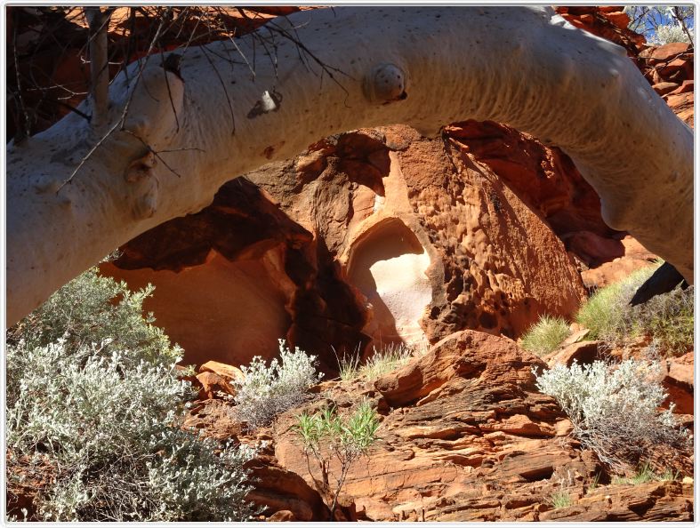 Watarrka National Park (Kings Canyon ).