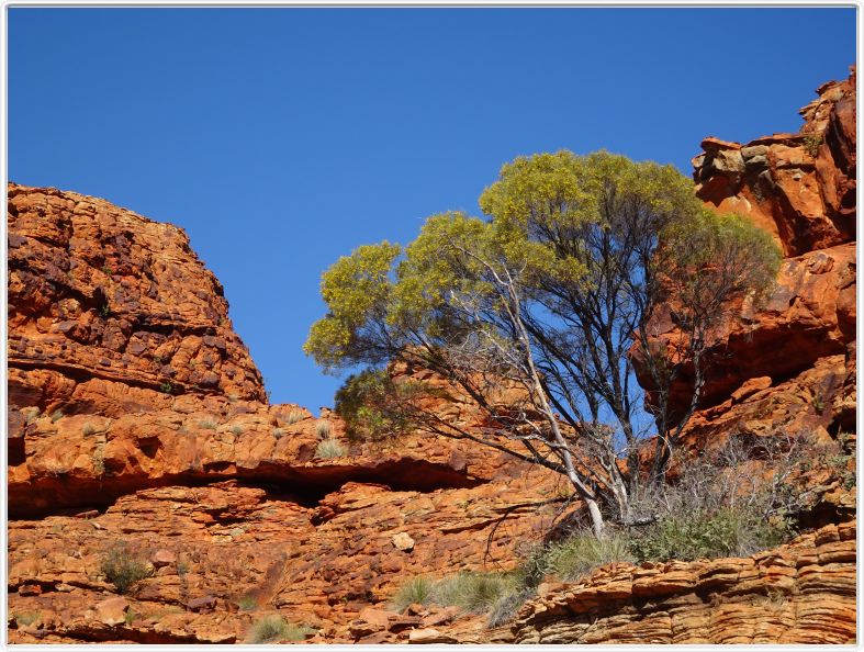 Watarrka National Park