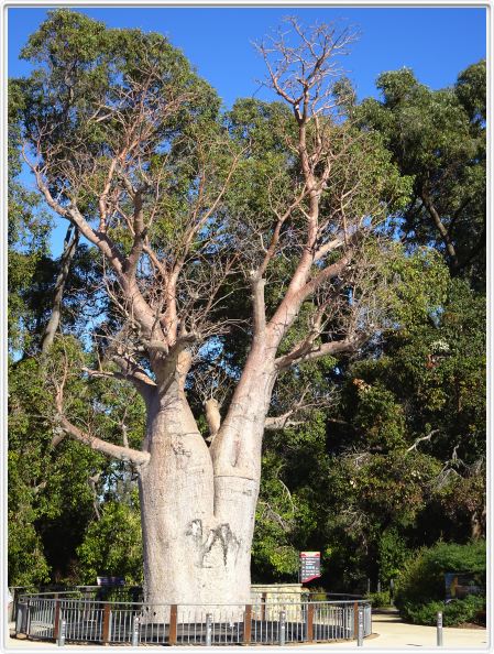 Perth (Australie occidentale)