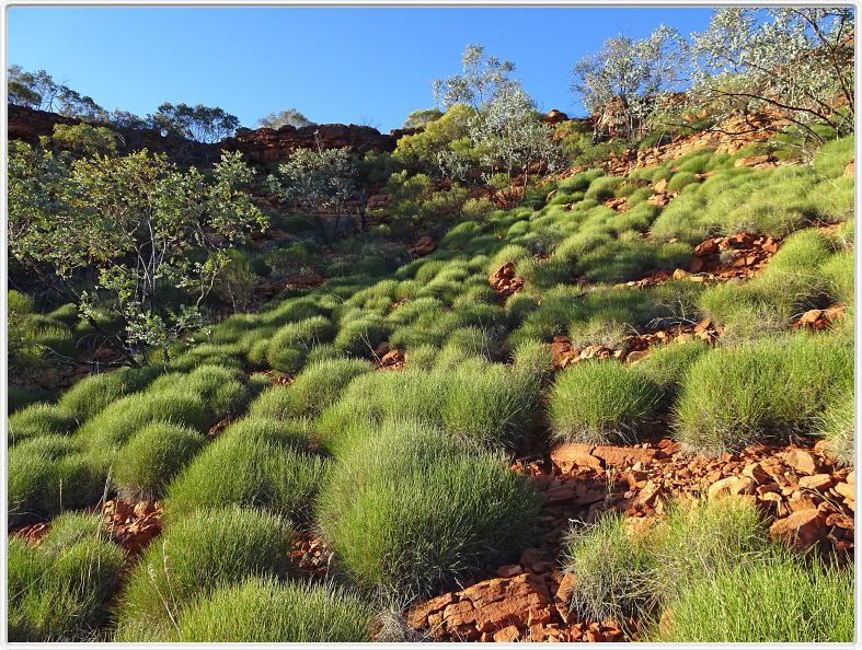Watarrka National Park
