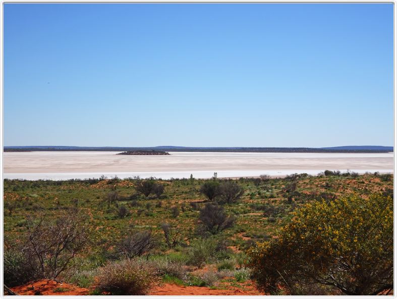 En route pour Uluru par la Lasseter Highway.