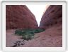 Uluru.
