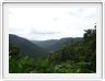 Le Parc national de Wooroonooran et sa forêt tropicale.