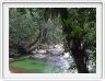 Le Parc national de Wooroonooran et sa forêt tropicale.