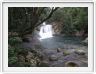 Le Parc national de Wooroonooran et sa forêt tropicale.