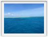 Au large de Cairns (Queensland). L'Ile de Michaelmas Cay.