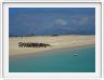 Au large de Cairns (Queensland). L'Ile de Michaelmas Cay.