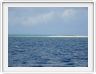 Au large de Cairns (Queensland). L'Ile de Michaelmas Cay.