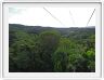 Retour par une série de télécabines au-dessus de la forêt tropicale.