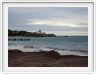 Sur l'Ile de Rottnest (Ce nom signifie Nid des rats).