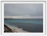 Sur l'Ile de Rottnest (Ce nom signifie Nid des rats).