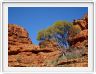 Watarrka National Park
