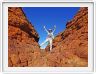 Watarrka National Park