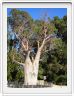 Perth (Australie occidentale)