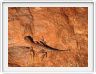 Watarrka National Park