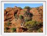 Watarrka National Park