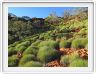 Watarrka National Park