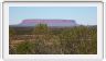 En route pour Uluru par la Lasseter Highway.