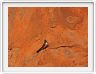 Nous entreprenons, à pieds, le tour d'Ayers Rock