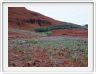 Uluru.