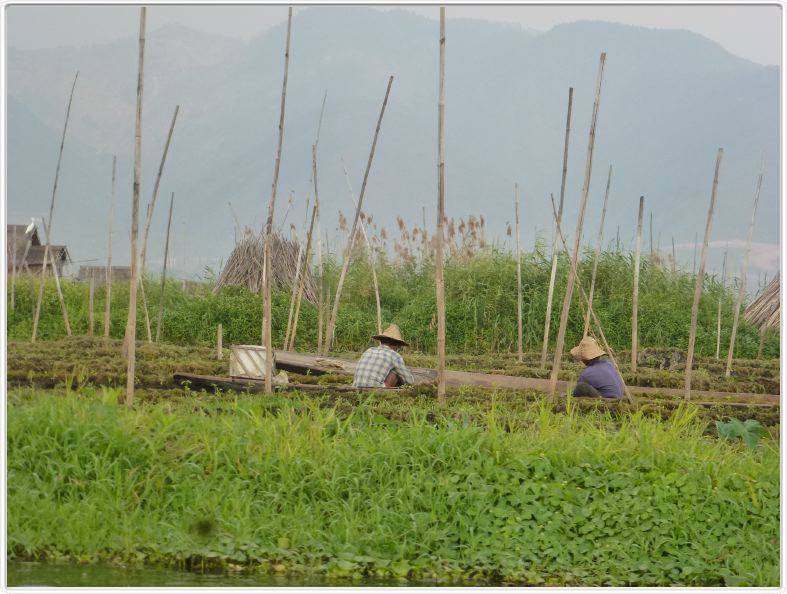 Sur le Lac Inle