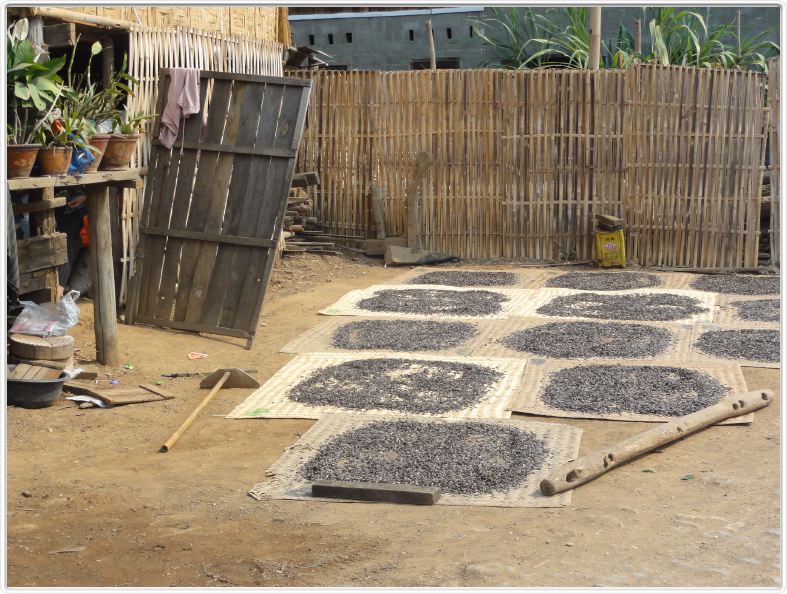 Village d'artisans.
