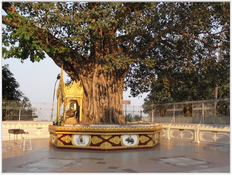 Yangon (Rangoun)