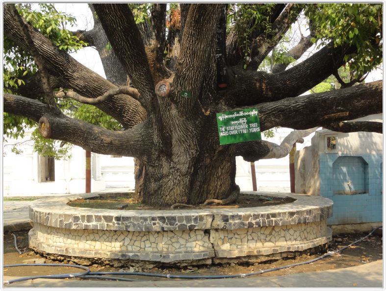 Mandalay