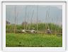 Sur le Lac Inle