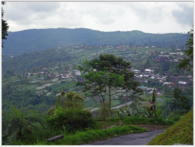 Berjo. Depuis le temple hindou de Candi Sukuh du XVe siècle.