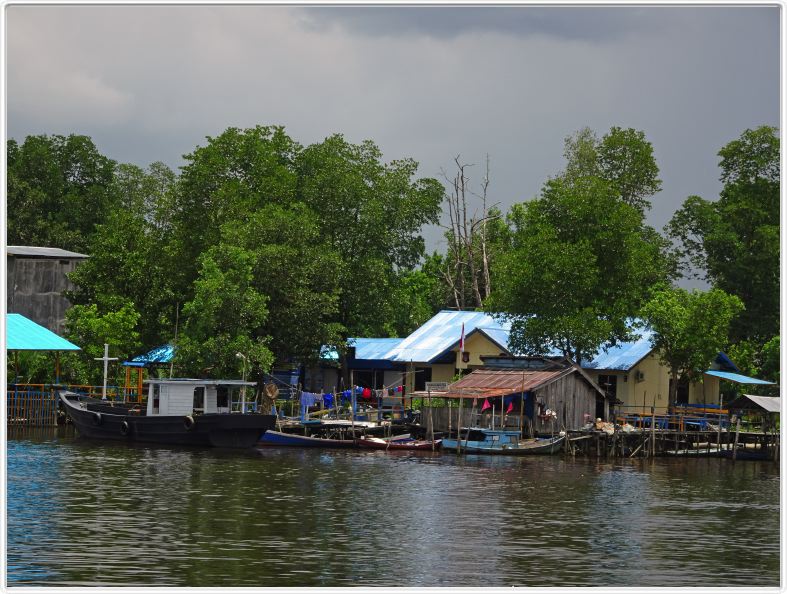 Nous remontons la rivière Kumai (Borneo)