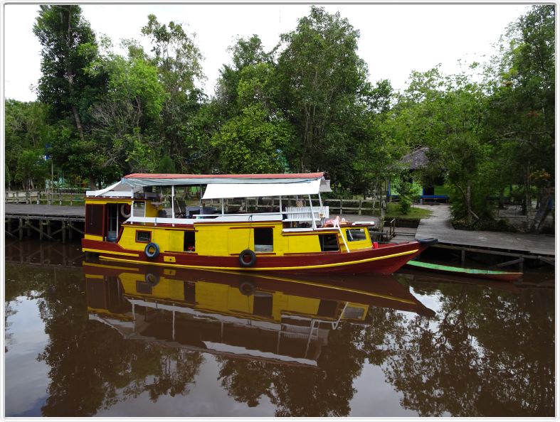 Nous remontons la rivière Kumai (Borneo)