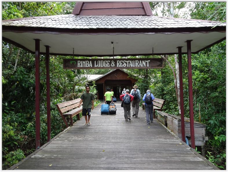 Nous remontons la rivière Kumai (Borneo)
