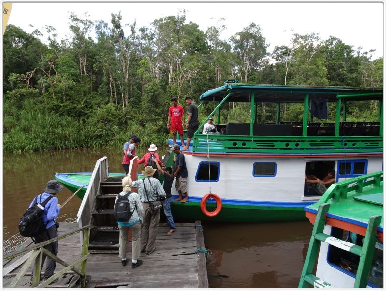 Rimba EcoLodge.