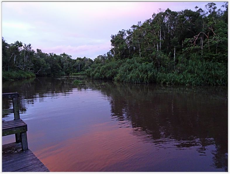 Retour au Rimba EcoLodge.