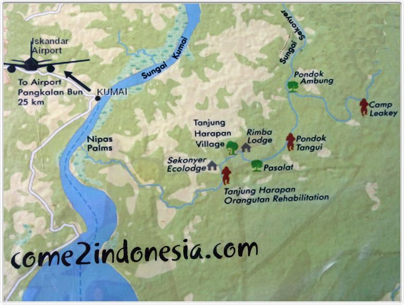 Rimba EcoLodge