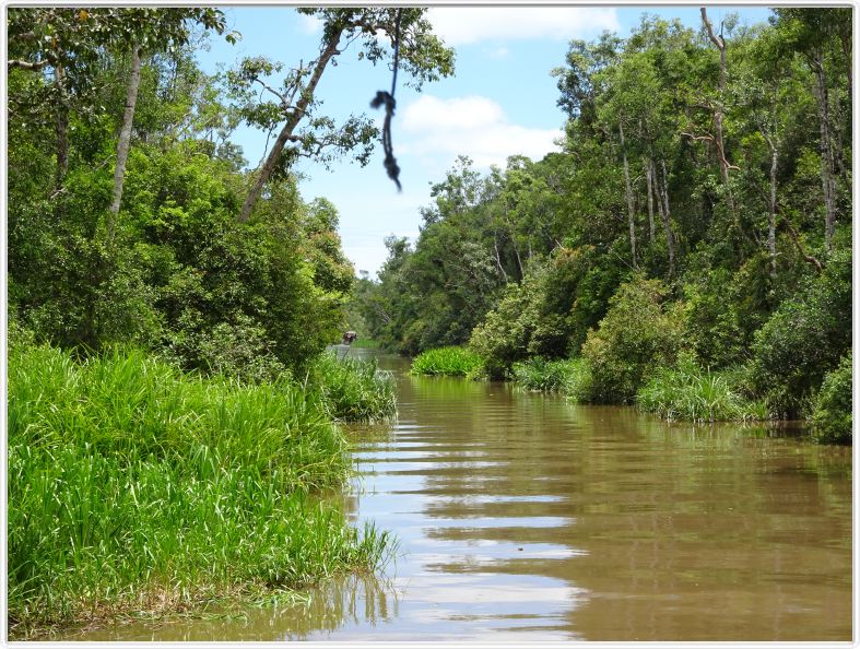 Notre excursion continue sur la Sekonyer River aux eaux brunes.