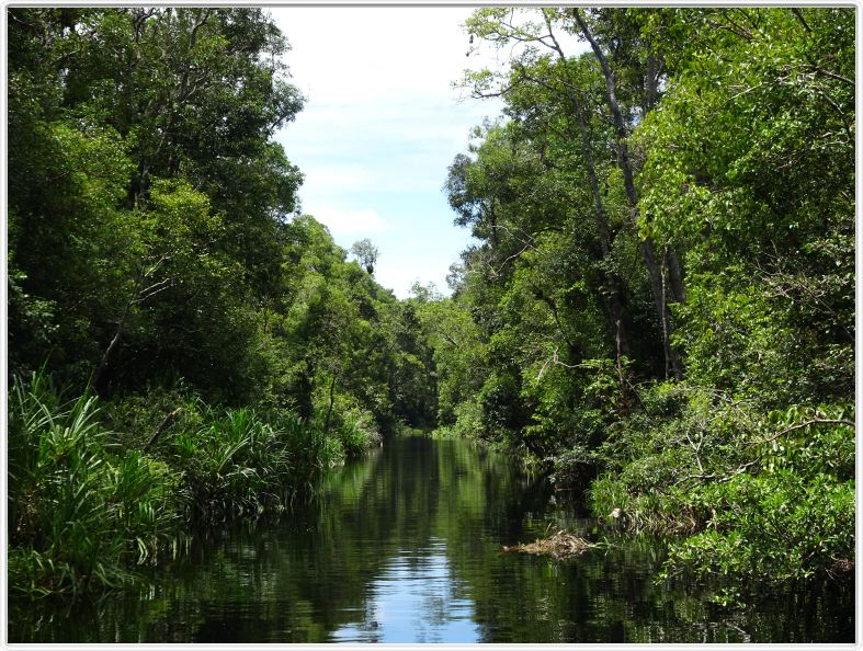 Notre excursion continue sur la Sekonyer River; les eaux sont maintenant 