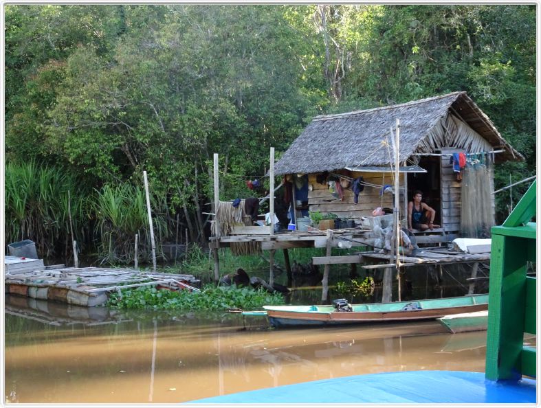 Sur le retour au Rimba EcoLodge.