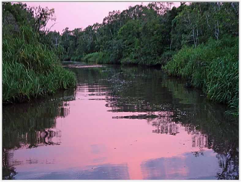 Sur le retour au Rimba EcoLodge.