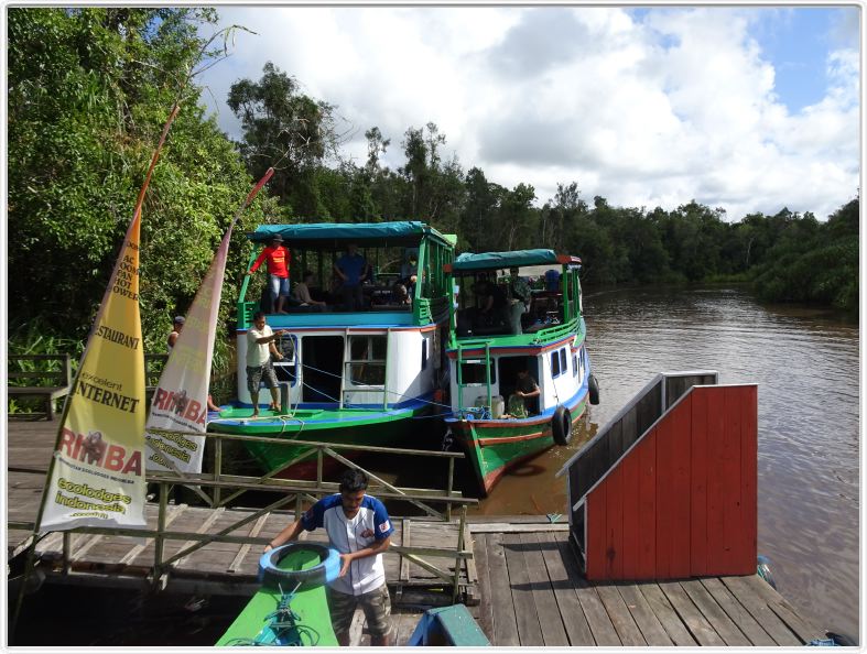 Rimba EcoLodge.