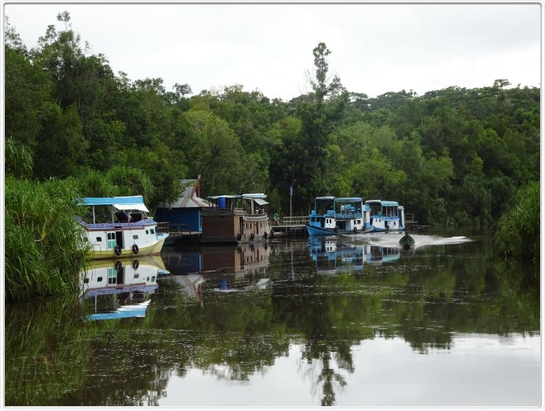 Sur la Sekoyer River.