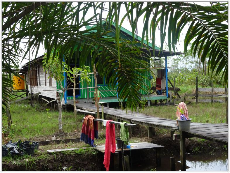 Visite de Sungai Sekoyer Village.