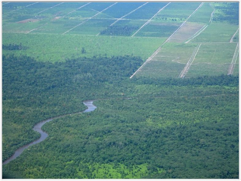 Nous décollons de Pangkalan Bun (Borneo).