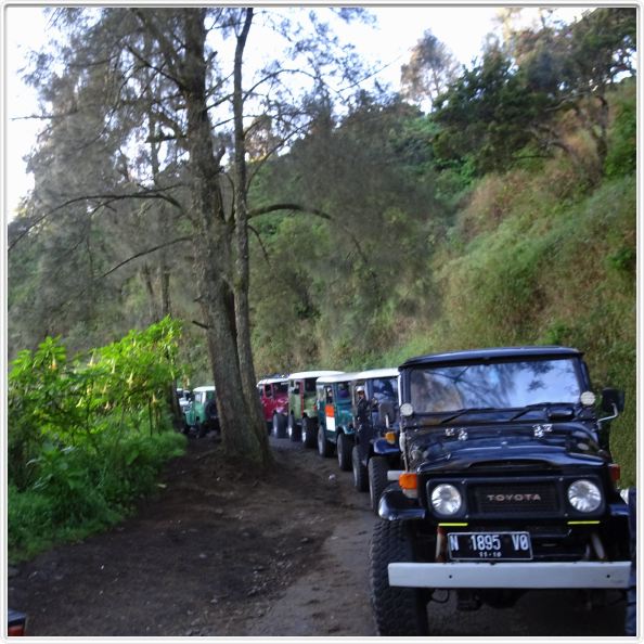 Excursion (très) matinale pour voir le lever du soleil sur le volcan Bromo.